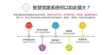 鼎維 以定制化與系統化方案，引領教育軟件創新開發